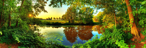 Thomas-1 Thomas und Ramona - Fotodesign aus Oberlungwitz